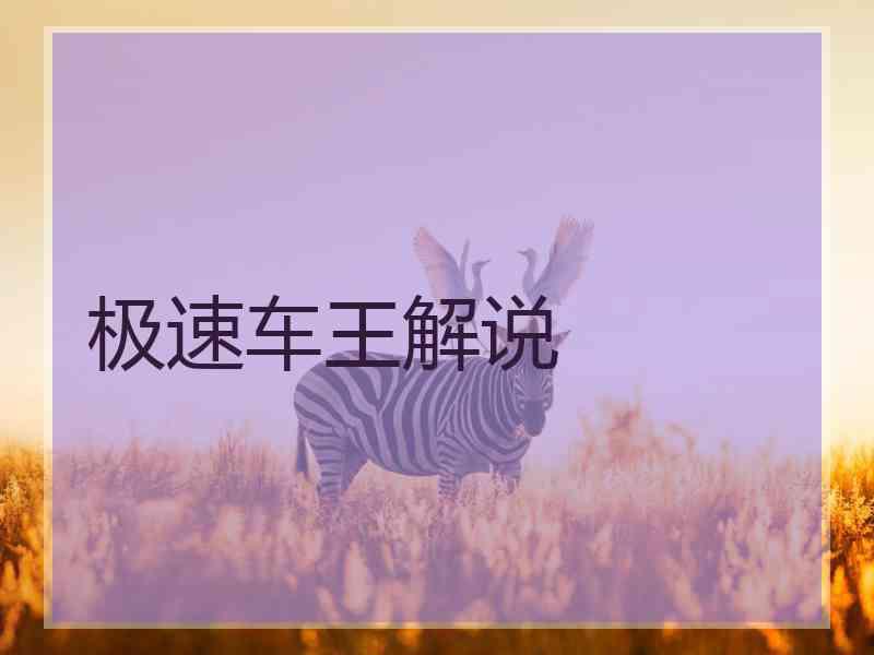 极速车王解说 极速车王解说