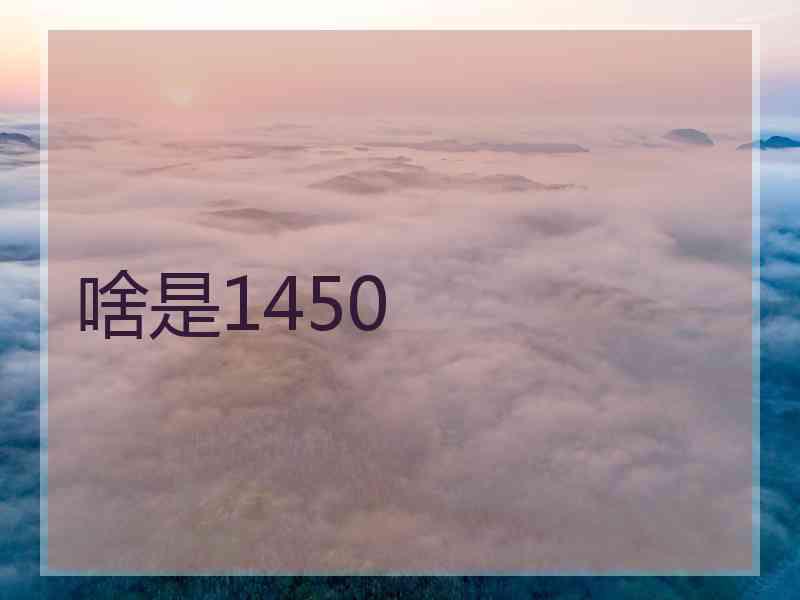 啥是1450 啥是1450