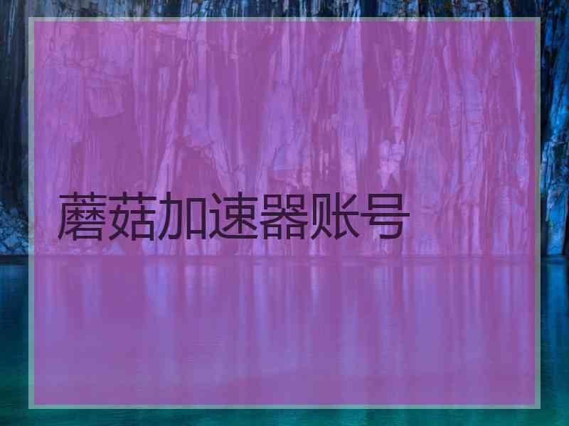 蘑菇加速器账号 蘑菇加速器账号