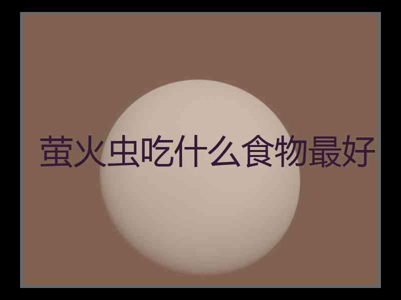 萤火虫吃什么食物最好 萤火虫吃什么食物最好