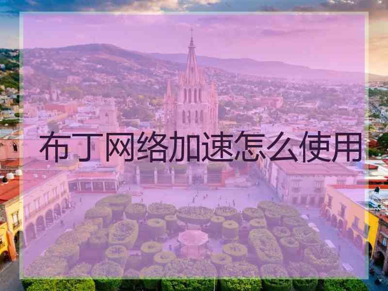 布丁网络加速怎么使用 布丁网络加速怎么使用