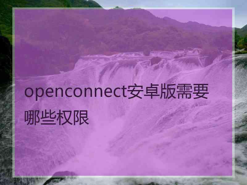 openconnect安卓版需要哪些权限 openconnect安卓版需要哪些权限
