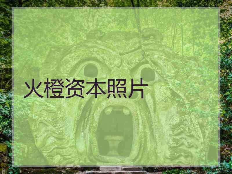 火橙资本照片 火橙资本照片