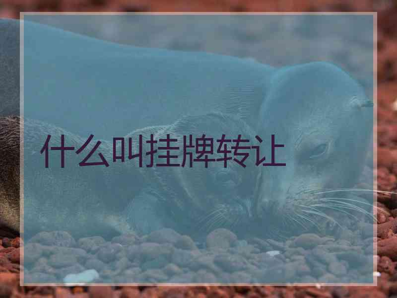 什么叫挂牌转让 什么叫挂牌转让