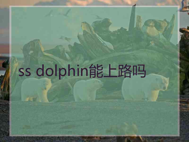 ss dolphin能上路吗 ss dolphin能上路吗