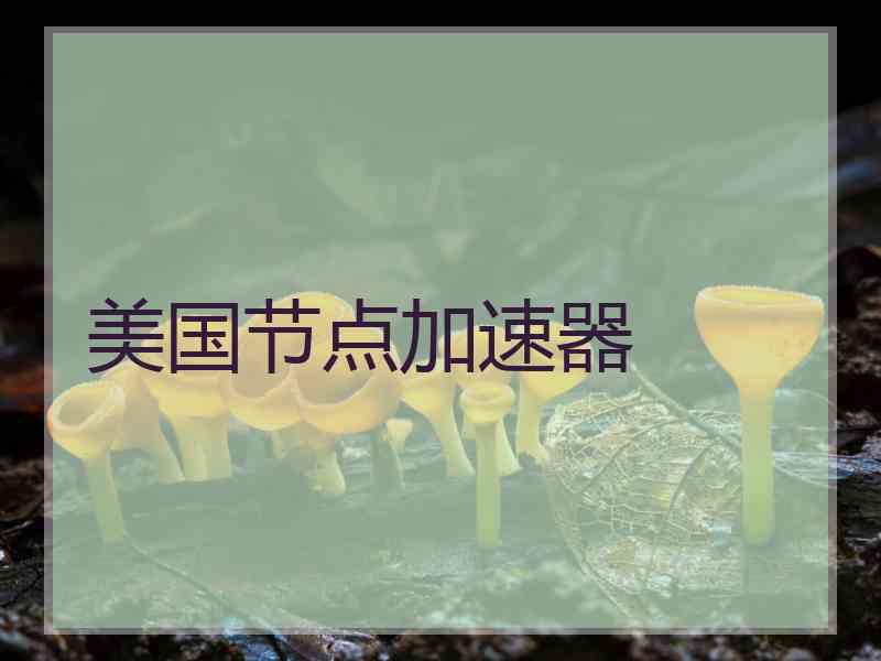 美国节点加速器 美国节点加速器