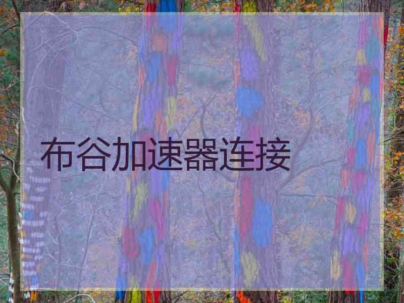 布谷加速器连接 布谷加速器连接