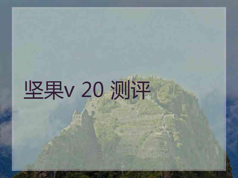 坚果v 20 测评 坚果v 20 测评