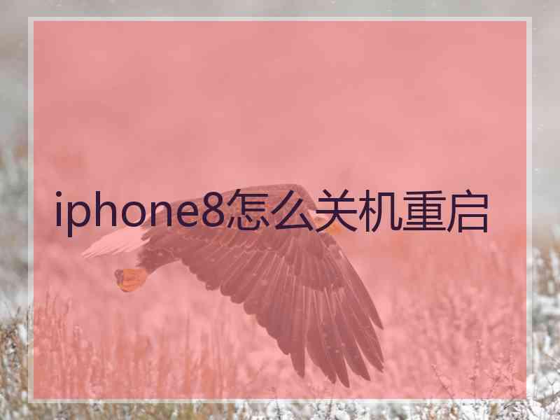 iphone8怎么关机重启 iphone8怎么关机重启
