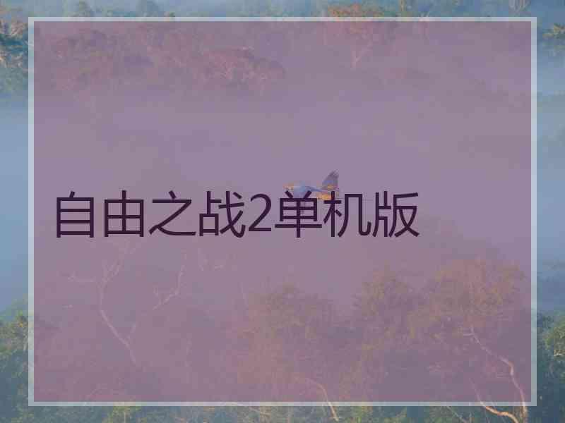 自由之战2单机版 自由之战2单机版