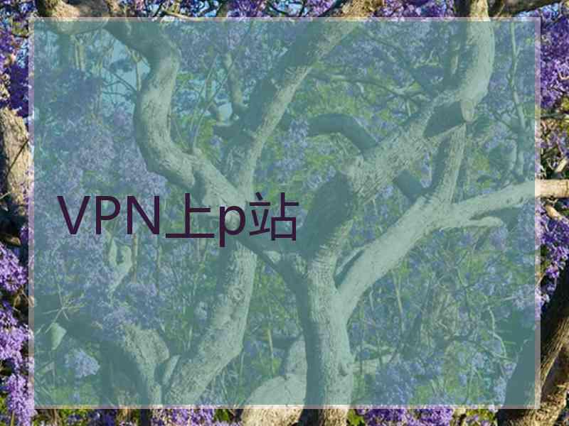 VPN上p站 VPN上p站