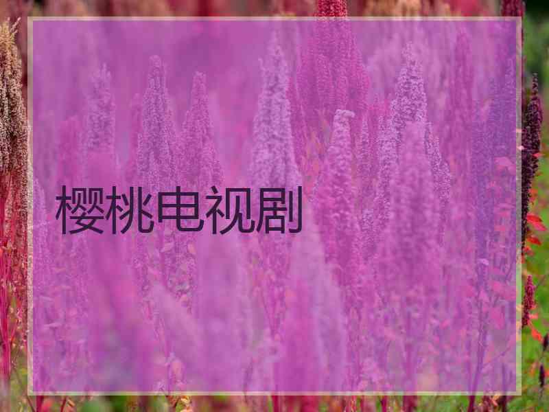 樱桃电视剧 樱桃电视剧