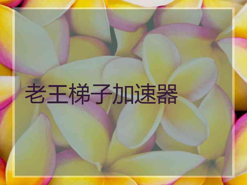 老王梯子加速器 老王梯子加速器