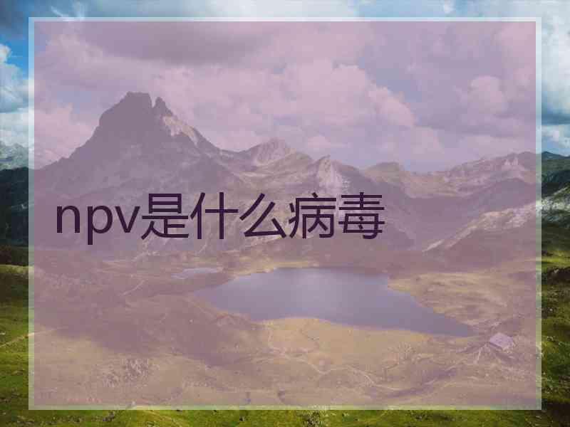 npv是什么病毒 npv是什么病毒