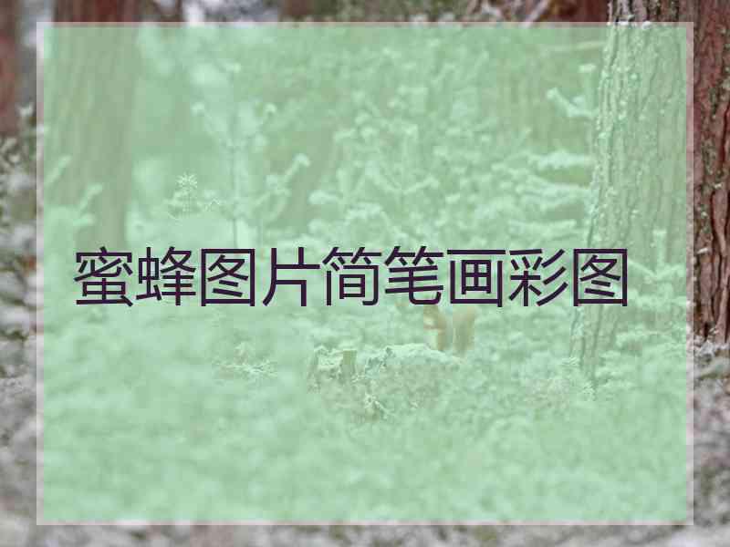 蜜蜂图片简笔画彩图 蜜蜂图片简笔画彩图