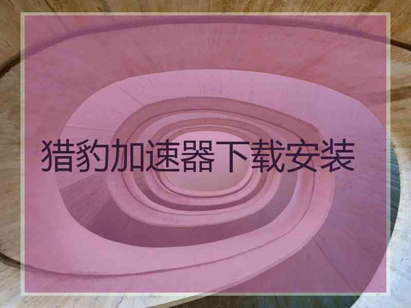 猎豹加速器下载安装 猎豹加速器下载安装