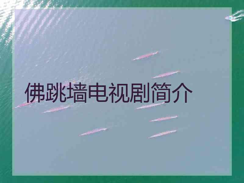 佛跳墙电视剧简介 佛跳墙电视剧简介