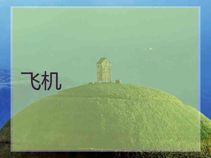 飞机 飞机