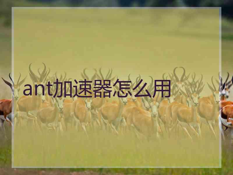 ant加速器怎么用 ant加速器怎么用