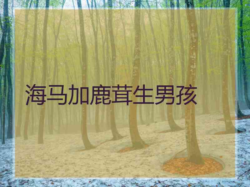 海马加鹿茸生男孩 海马加鹿茸生男孩