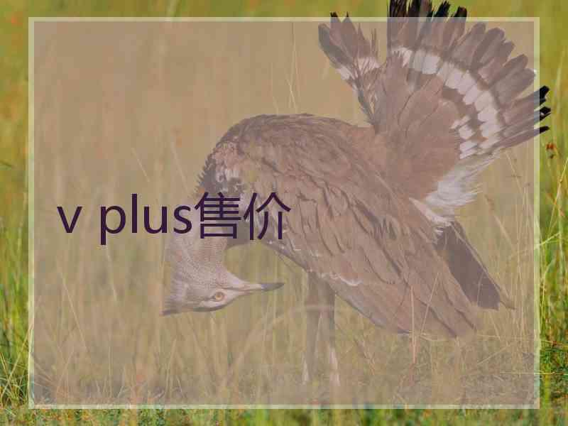 v plus售价 v plus售价
