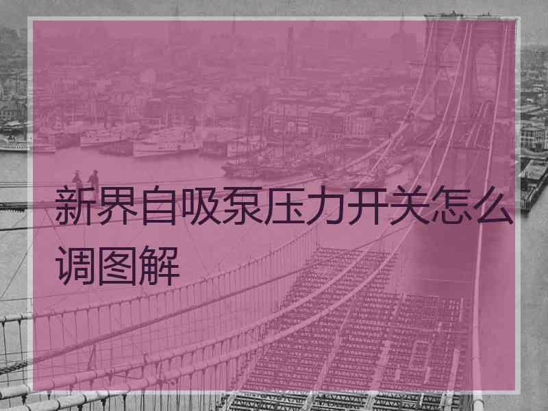新界自吸泵压力开关怎么调图解 新界自吸泵压力开关怎么调图解
