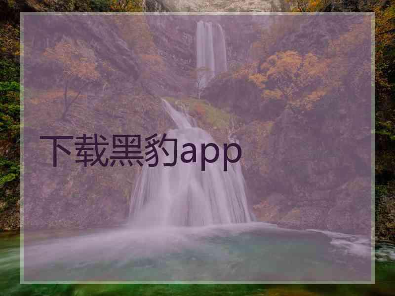 下载黑豹app 下载黑豹app