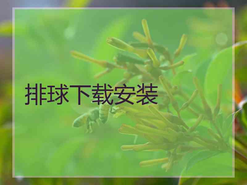 排球下载安装 排球下载安装