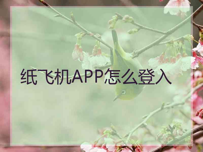 纸飞机APP怎么登入 纸飞机APP怎么登入