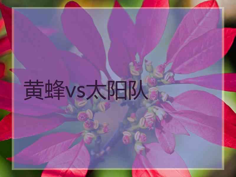 黄蜂vs太阳队 黄蜂vs太阳队