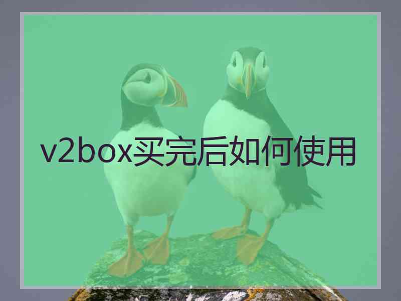 v2box买完后如何使用 v2box买完后如何使用