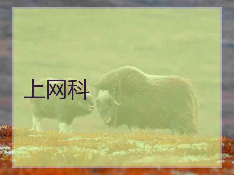 上网科 上网科