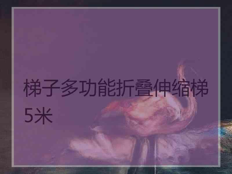 梯子多功能折叠伸缩梯5米 梯子多功能折叠伸缩梯5米