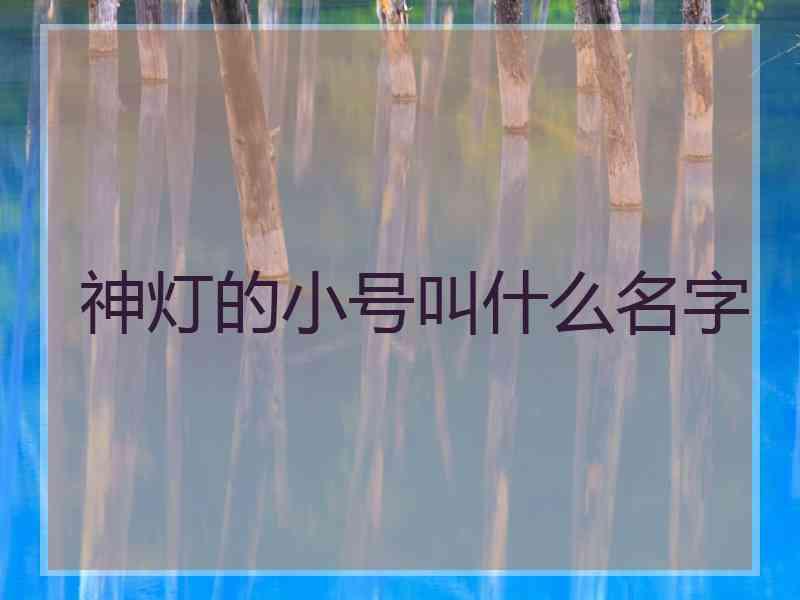 神灯的小号叫什么名字 神灯的小号叫什么名字