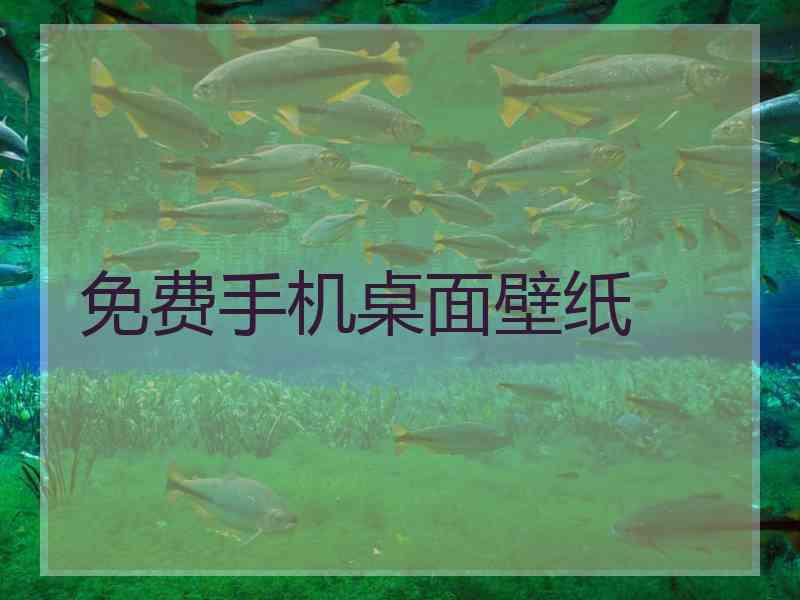 免费手机桌面壁纸 免费手机桌面壁纸