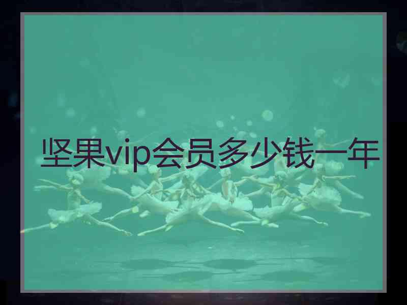 坚果vip会员多少钱一年 坚果vip会员多少钱一年