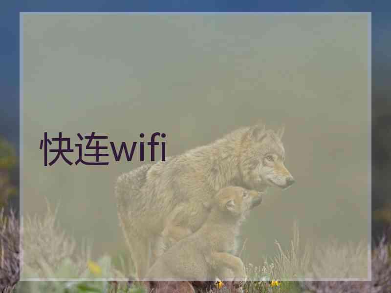 快连wifi 快连wifi