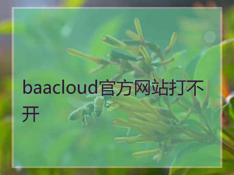 baacloud官方网站打不开 baacloud官方网站打不开