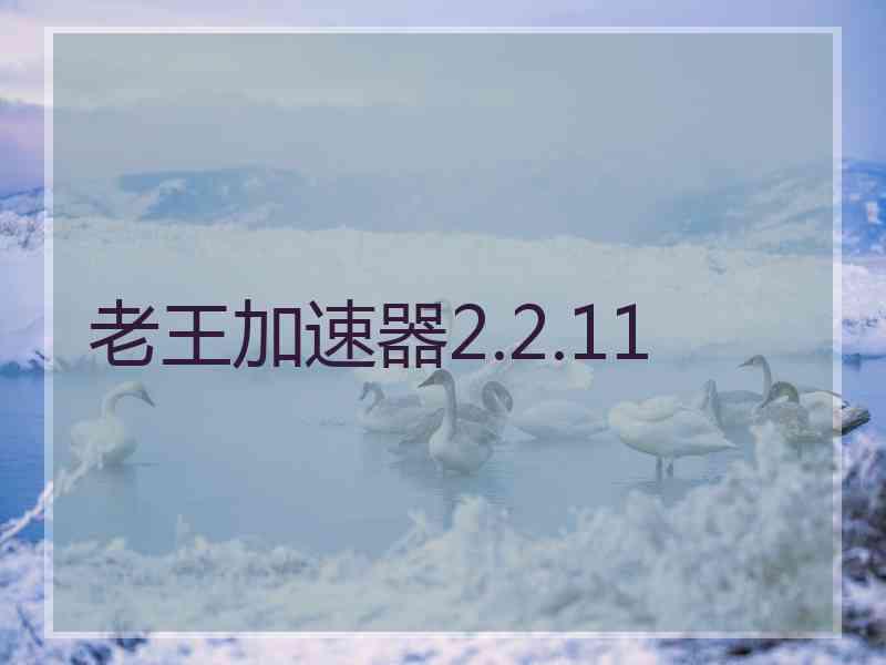 老王加速器2.2.11 老王加速器2.2.11