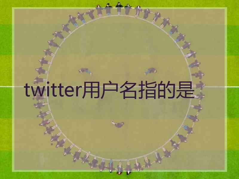 twitter用户名指的是 twitter用户名指的是