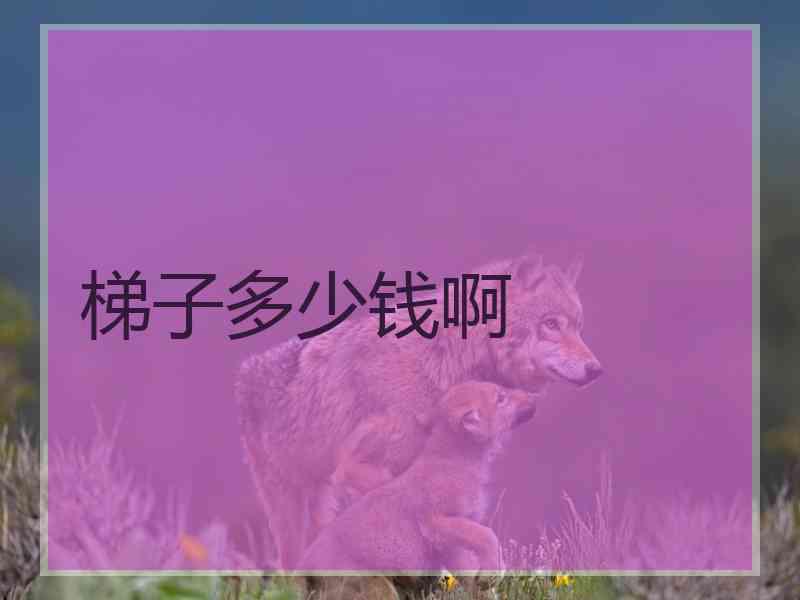 梯子多少钱啊 梯子多少钱啊