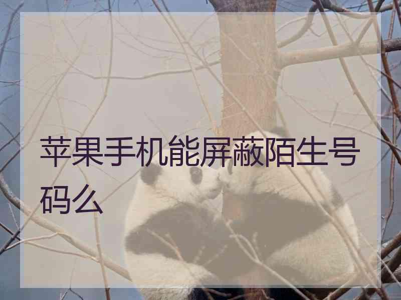 苹果手机能屏蔽陌生号码么 苹果手机能屏蔽陌生号码么