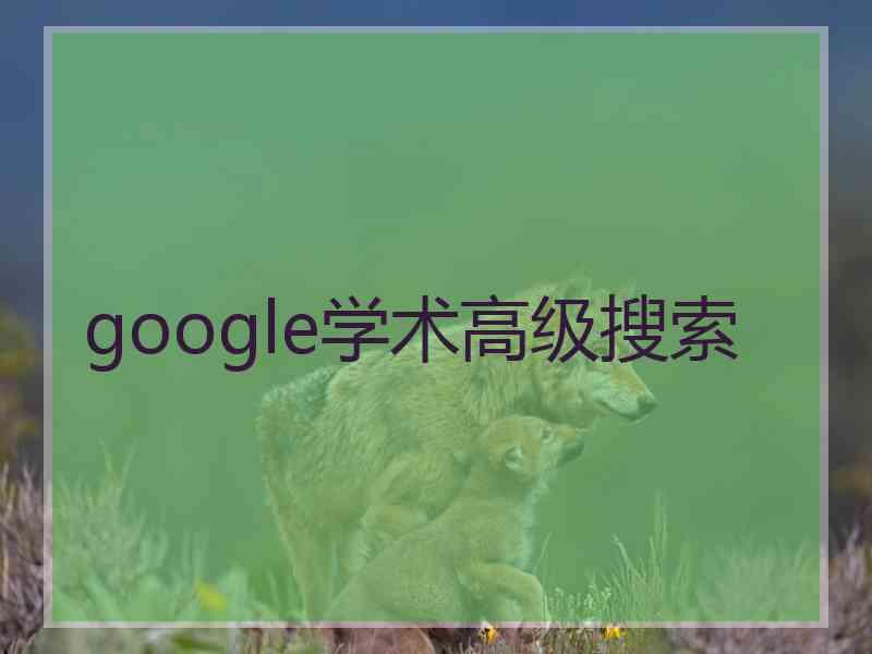 google学术高级搜索 google学术高级搜索