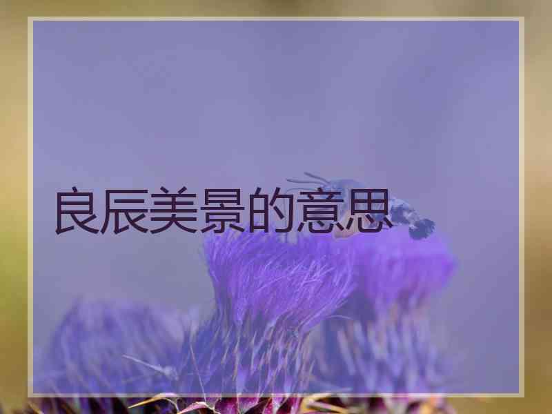 良辰美景的意思 良辰美景的意思