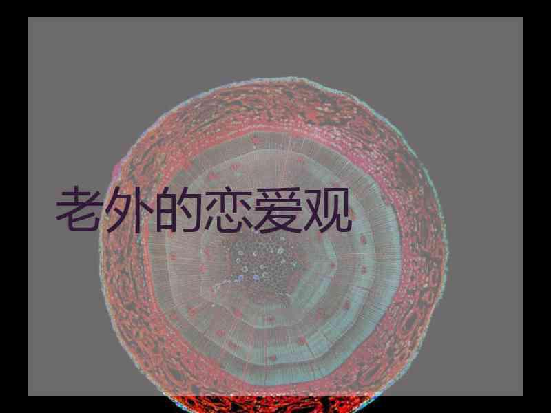 老外的恋爱观 老外的恋爱观