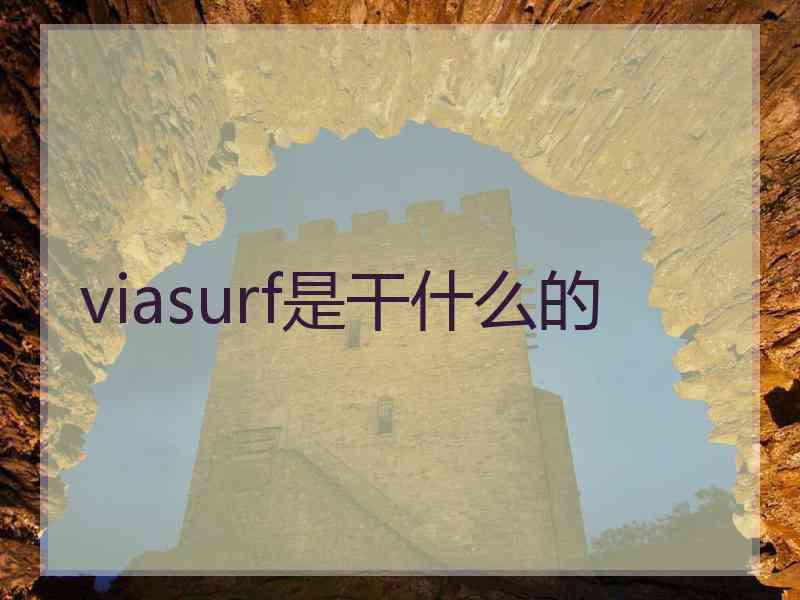 viasurf是干什么的 viasurf是干什么的
