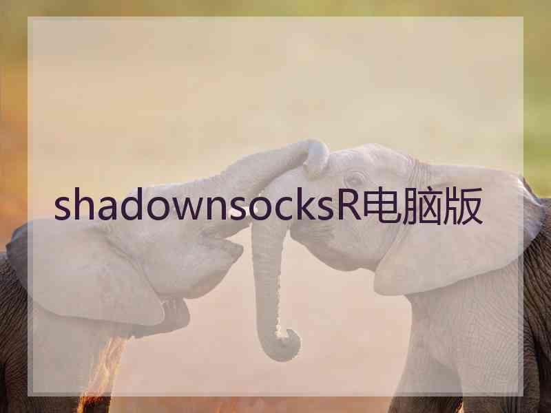 shadownsocksR电脑版 shadownsocksR电脑版
