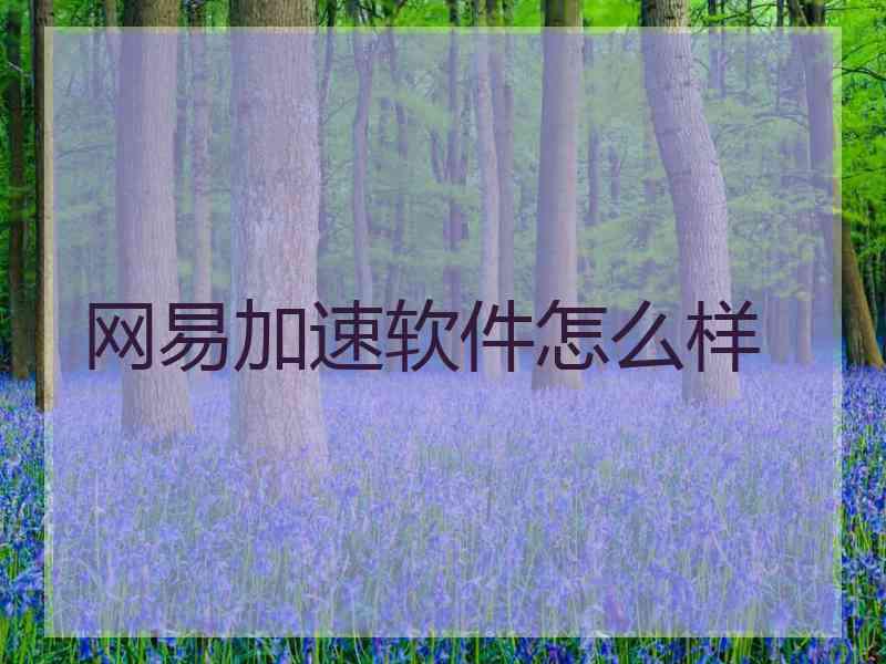 网易加速软件怎么样 网易加速软件怎么样