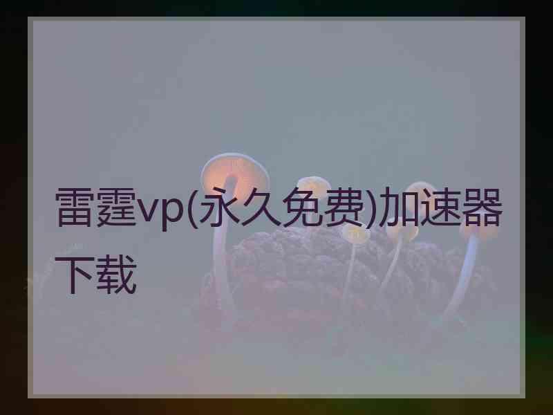 雷霆vp(永久免费)加速器下载 雷霆vp(永久免费)加速器下载