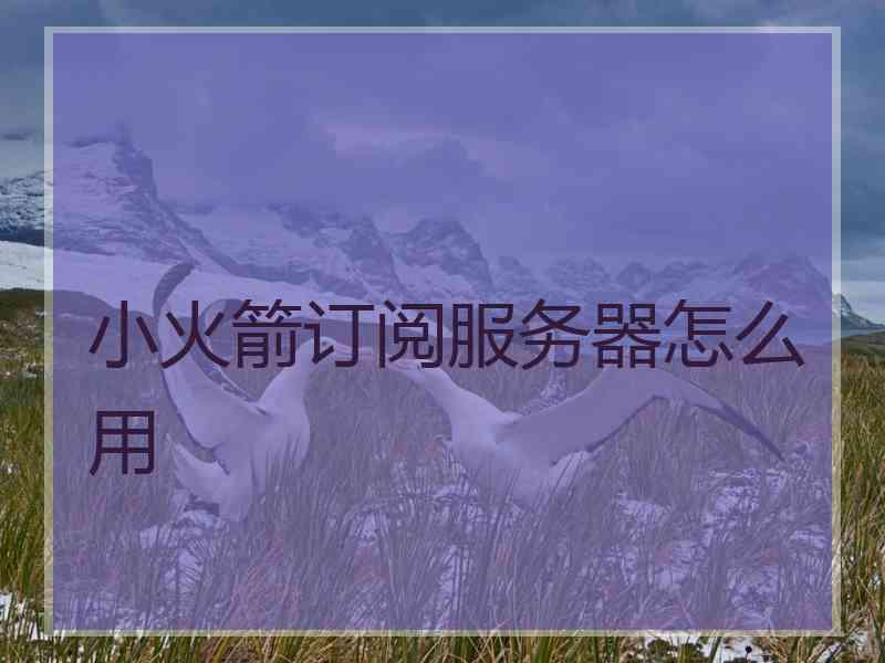 小火箭订阅服务器怎么用 小火箭订阅服务器怎么用